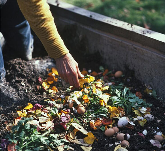 garden-waste-removel-img-3